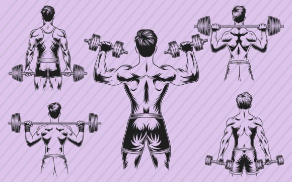 Download Gym Fitness Vector Illustration Graphics - Graphic Collection